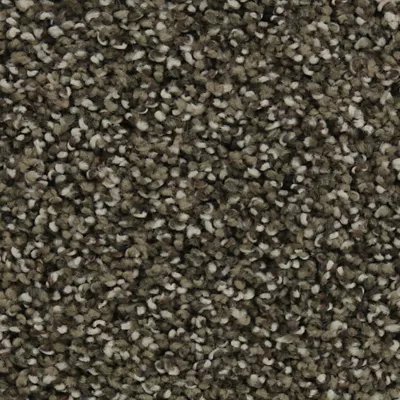 Mohawk Natural Opulence I - Taupe Delight