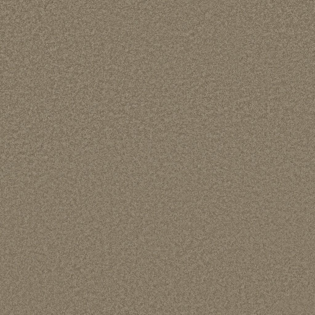 Shaw Floors Timeless Appeal III 12' - Chinchilla