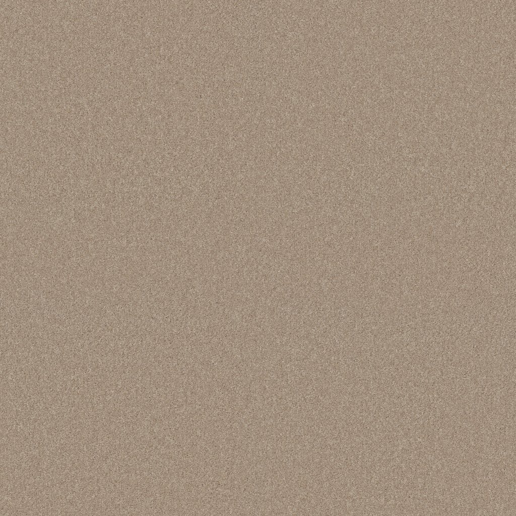 Shaw Floors Your Comfort II - Walk On The Beach