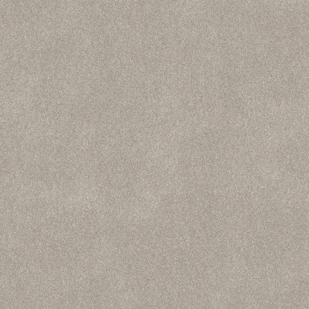 Shaw Floors New Memories T - Beige Mist