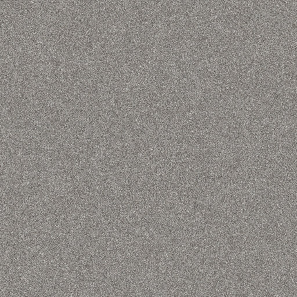 Shaw Floors GO AFTER IT 4 - Etched