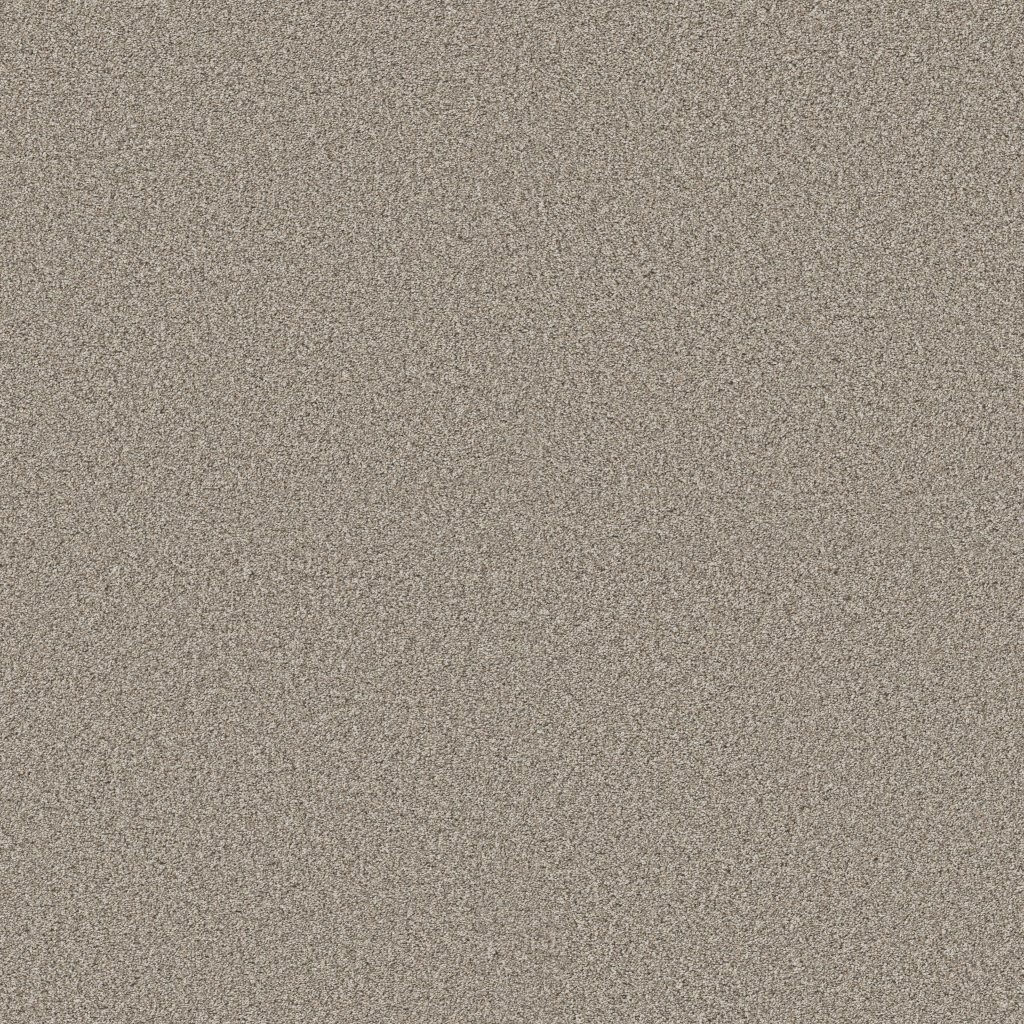 Shaw Floors Timeless Tone Blue - Pebble Path