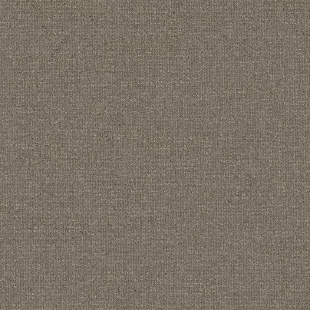 Shaw Floors Sensible Now - Abbey Stone