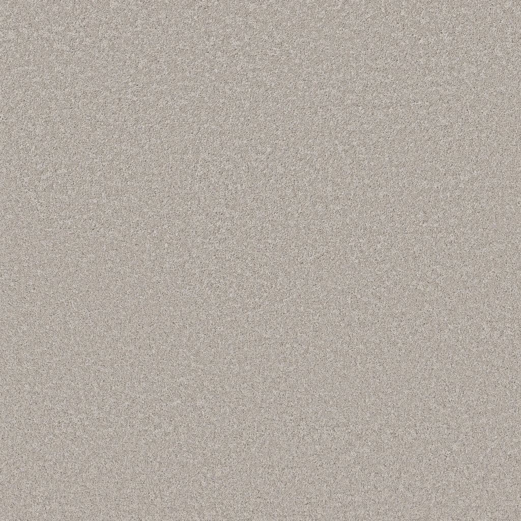 Shaw Floors Velvet Touch II - Gravity
