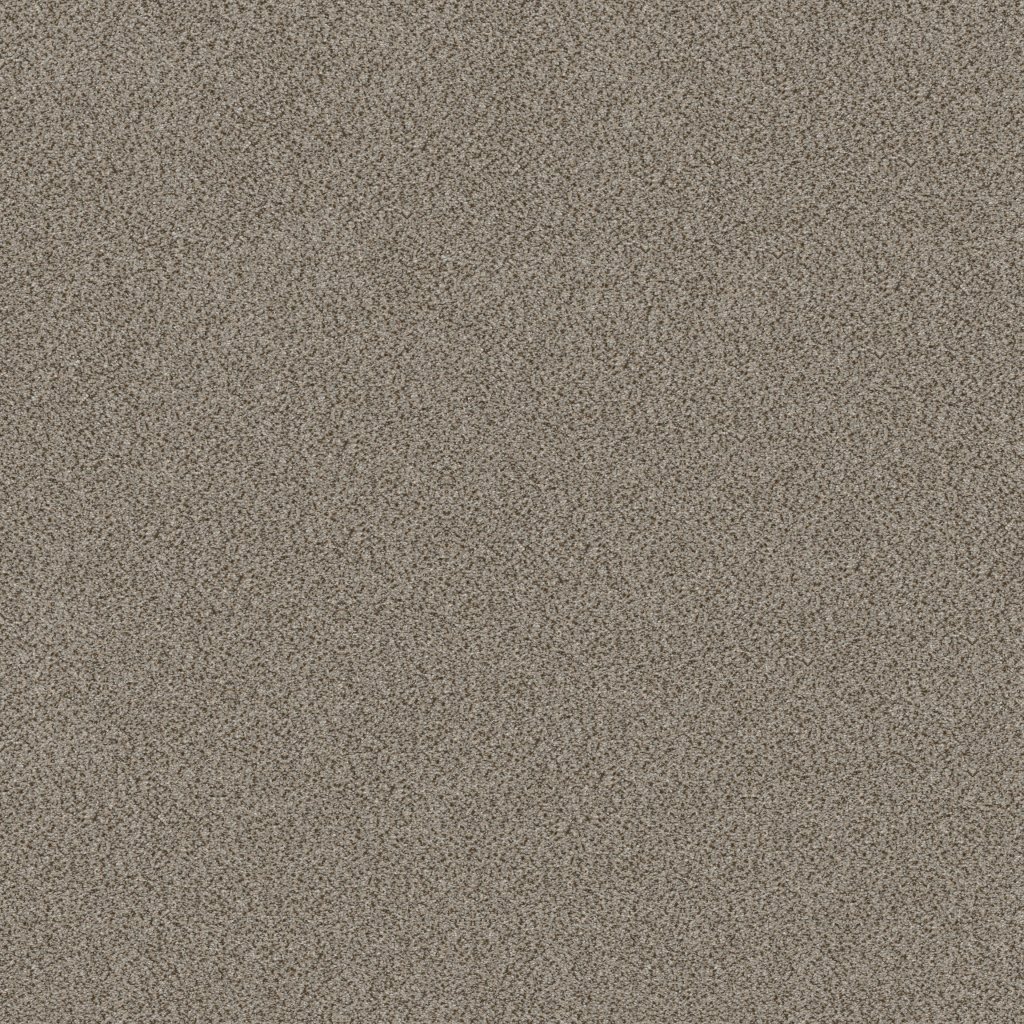 Shaw Floors Trusplendor - Iron Works