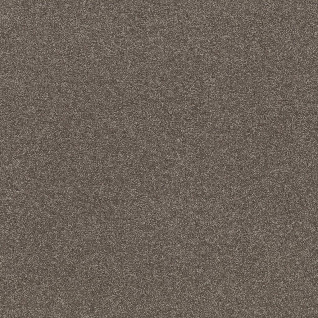 Shaw Floors WELL GROUNDED II 15 - Pewter