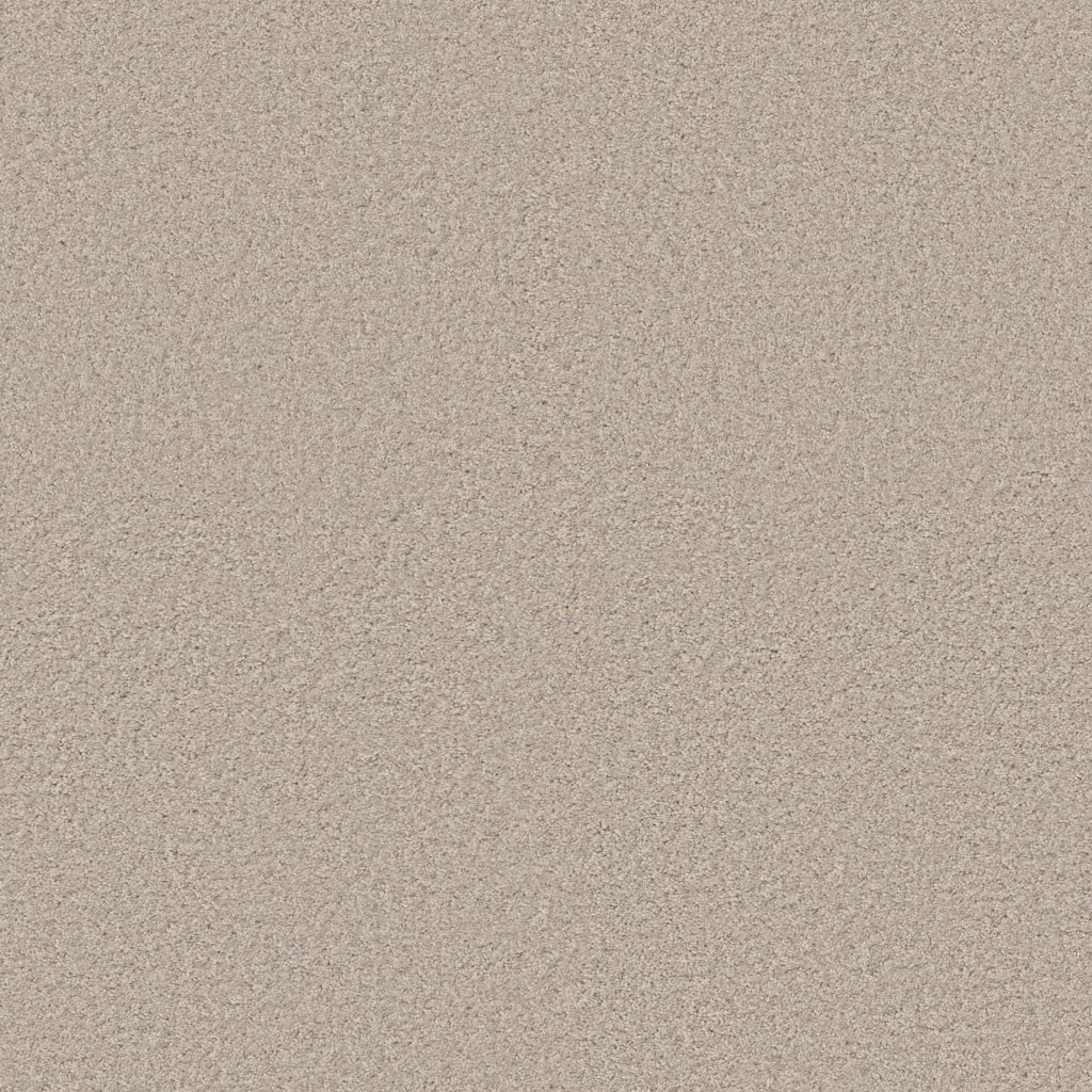 Shaw Floors Vitalize (S) 12' - Angel Wing