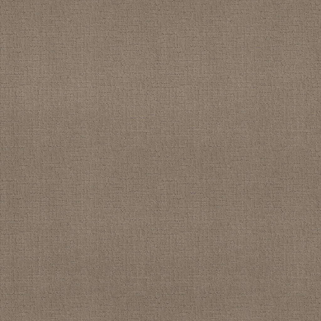 Shaw Floors One More Hour - Grain