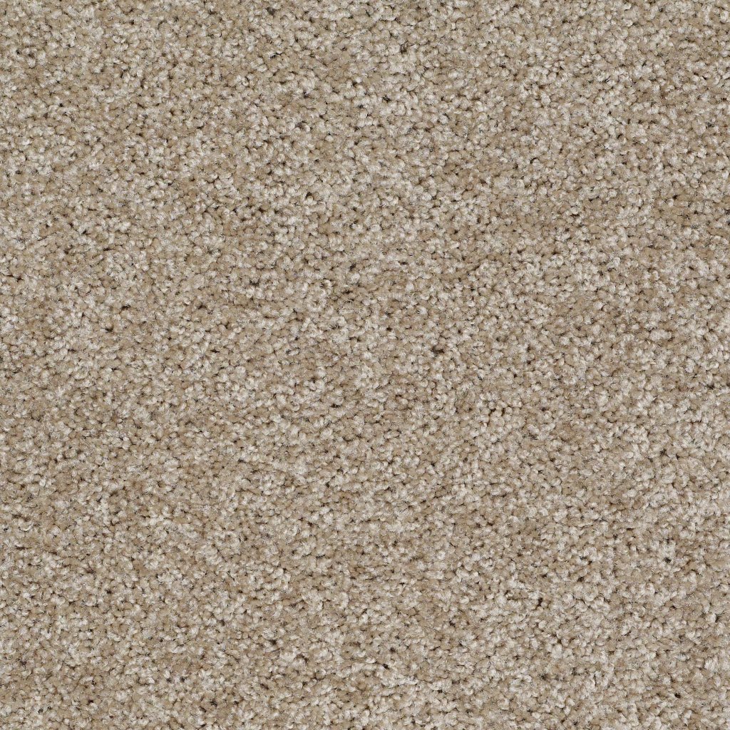 Shaw Floors Make It Yours (S) - Northern Cliffs