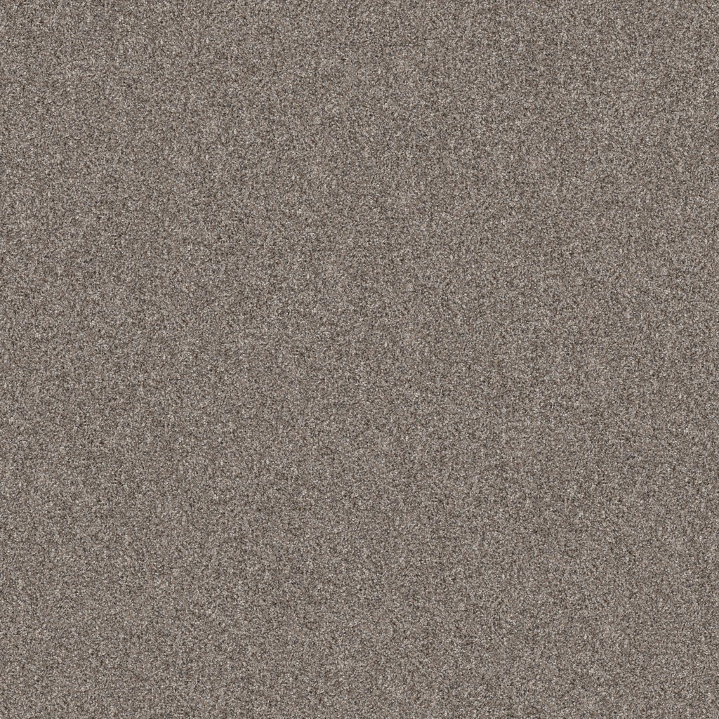 Shaw Floors Yes You Can III 15' - Chic Greige