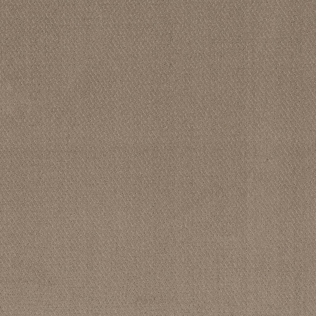 Shaw Floors Simply Classic - Cameo