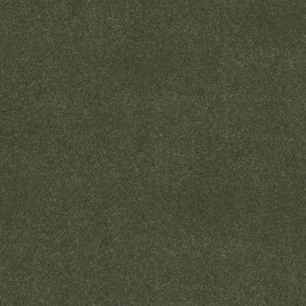 Shaw Floors Easy Spirit III 15' - Garden View