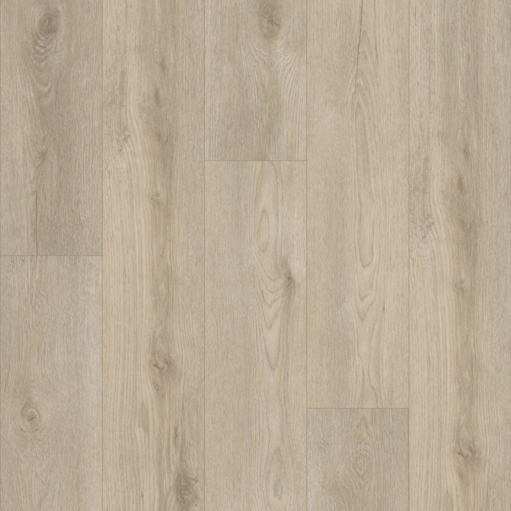 Shaw Floors Paladin Plus - Soft Beige