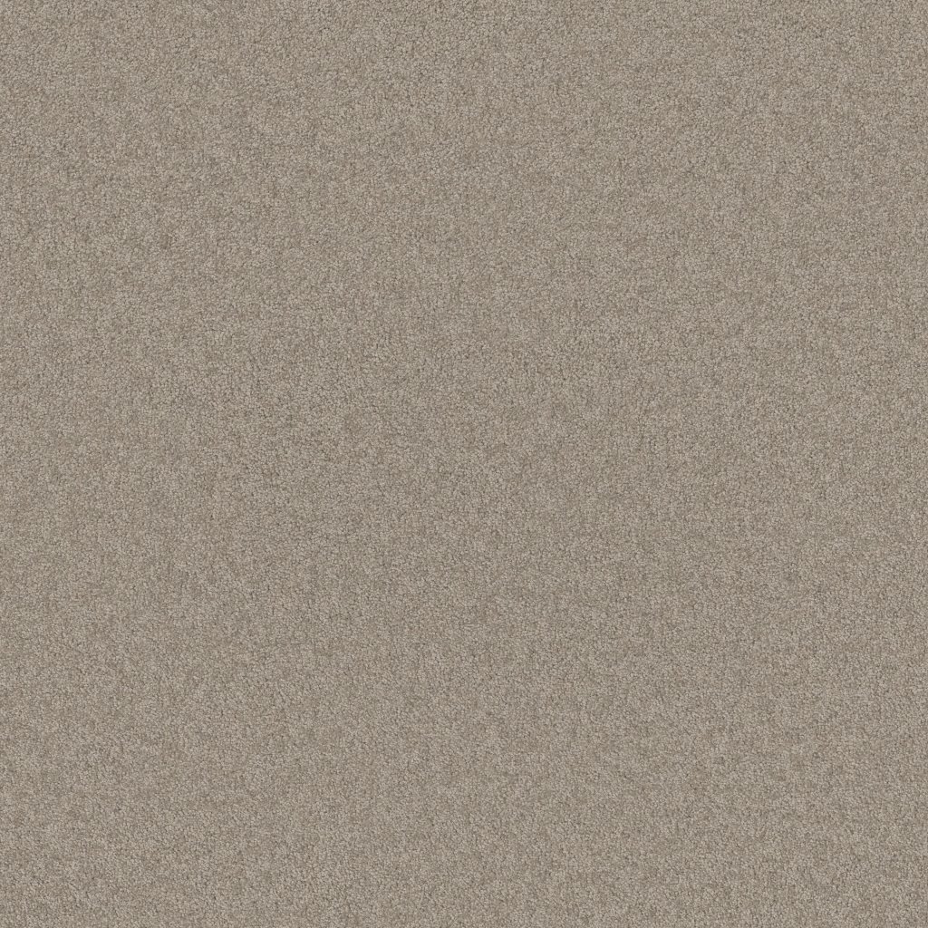 Shaw Floors THAT'S RIGHT - Mocha Cream