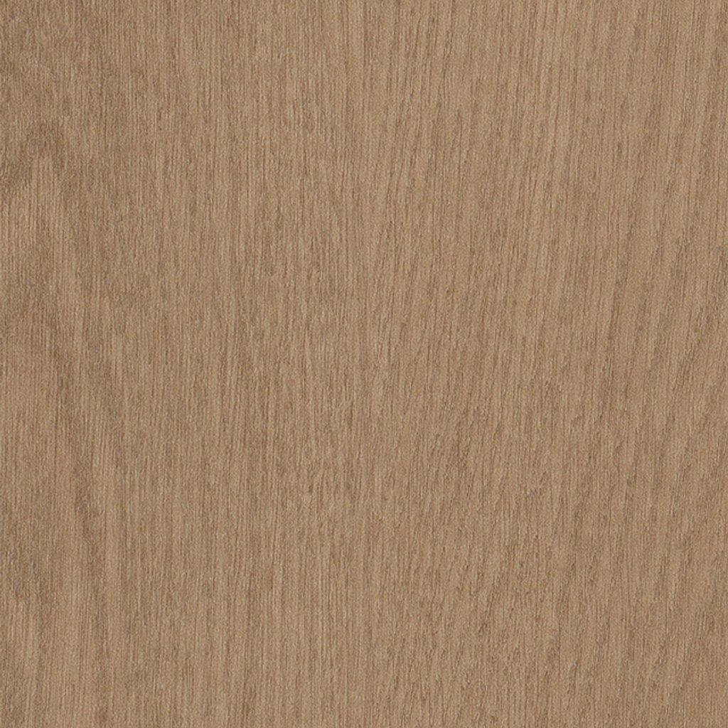Philadelphia Commercial Willow Oak 30 M - Butternut Oak