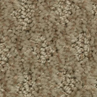 Mohawk Stylish Effect - Carmelita