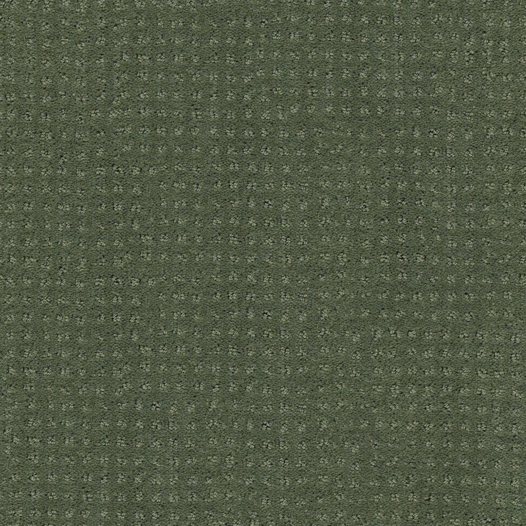 Shaw Floors Alluring Disposition - Lush Garden