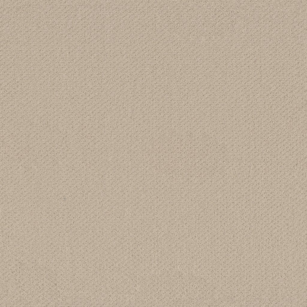 Shaw Floors Austin Park - Better Beige
