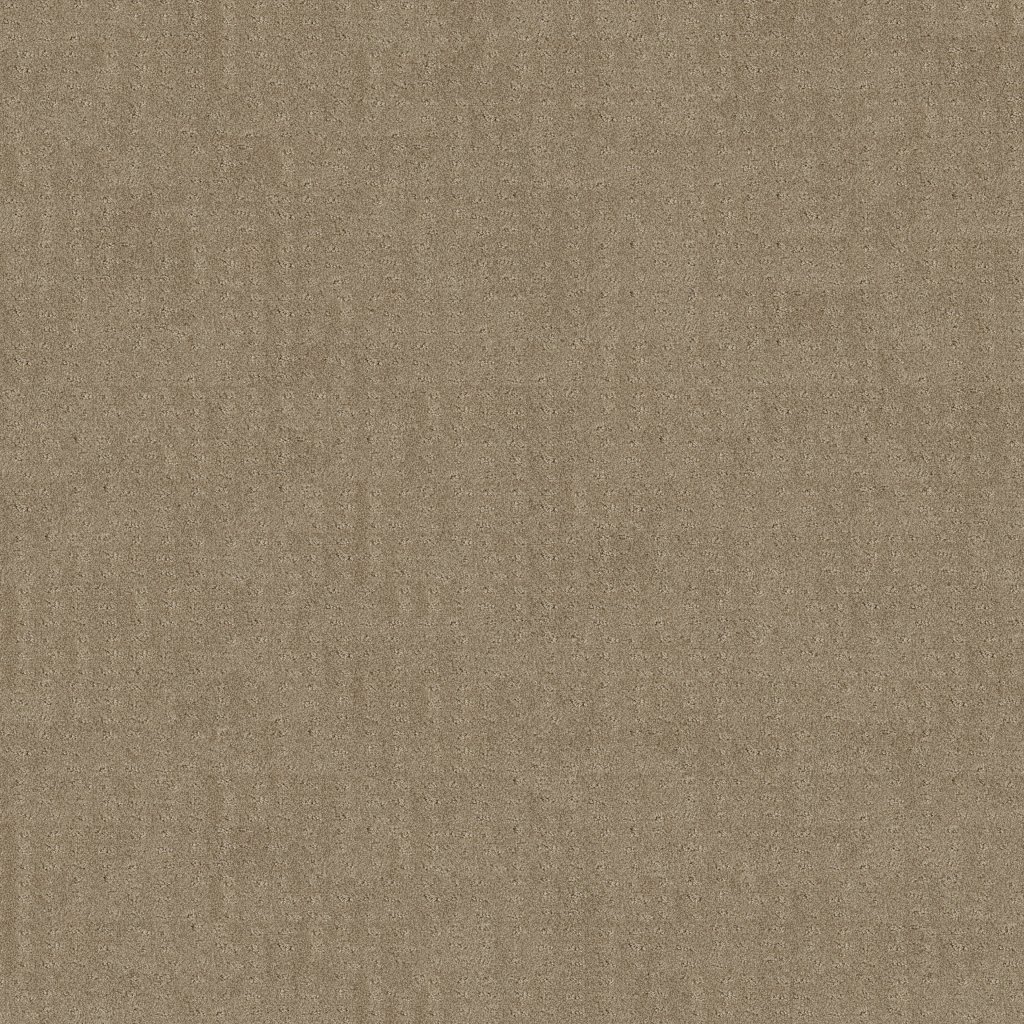 Shaw Floors Chic Nuance - Desert View