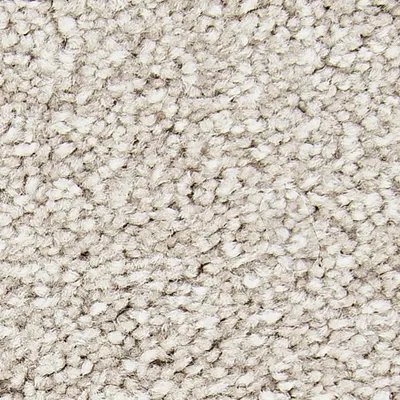 Mohawk Memorable View - Knubby Wool