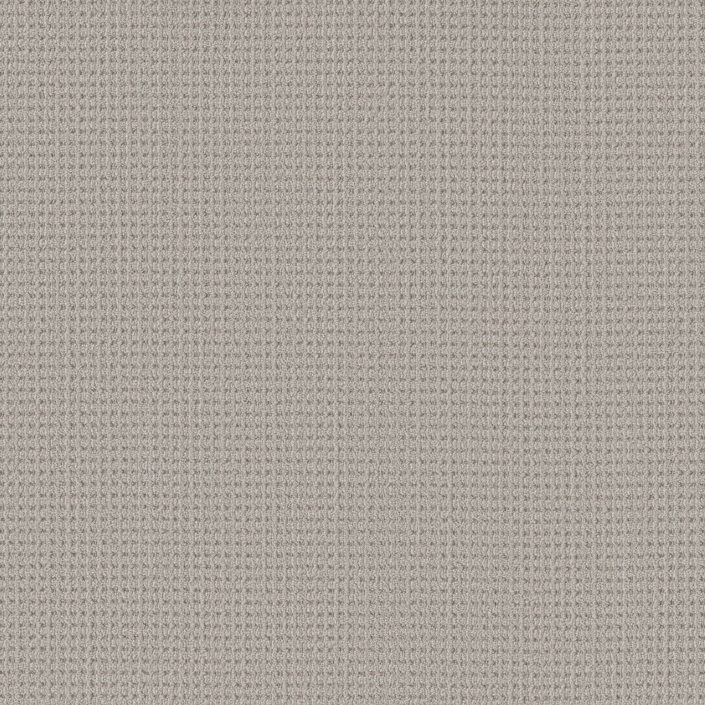 Shaw Floors Finely Detailed - Twilight