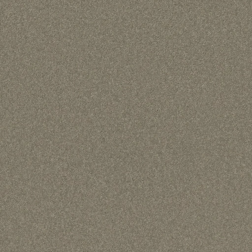 Shaw Floors THAT'S RIGHT - Radiance