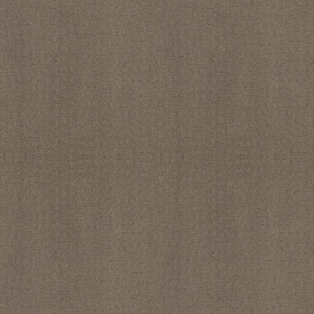 Shaw Floors Solstice - Smokestack