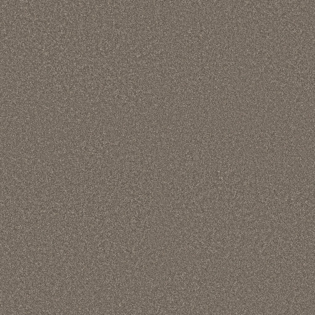 Shaw Floors Classic Tone - Night Owl