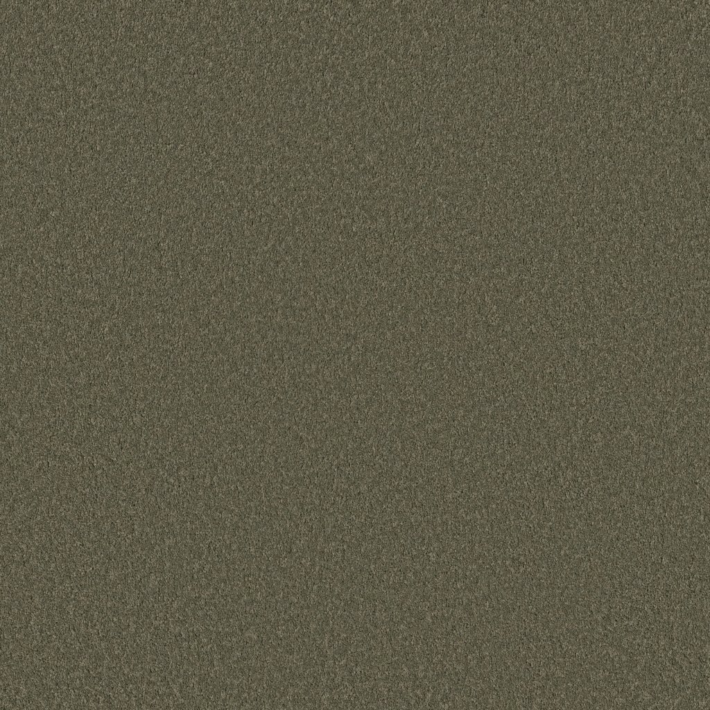 Shaw Floors Velvet Touch II - Rerooted Nature