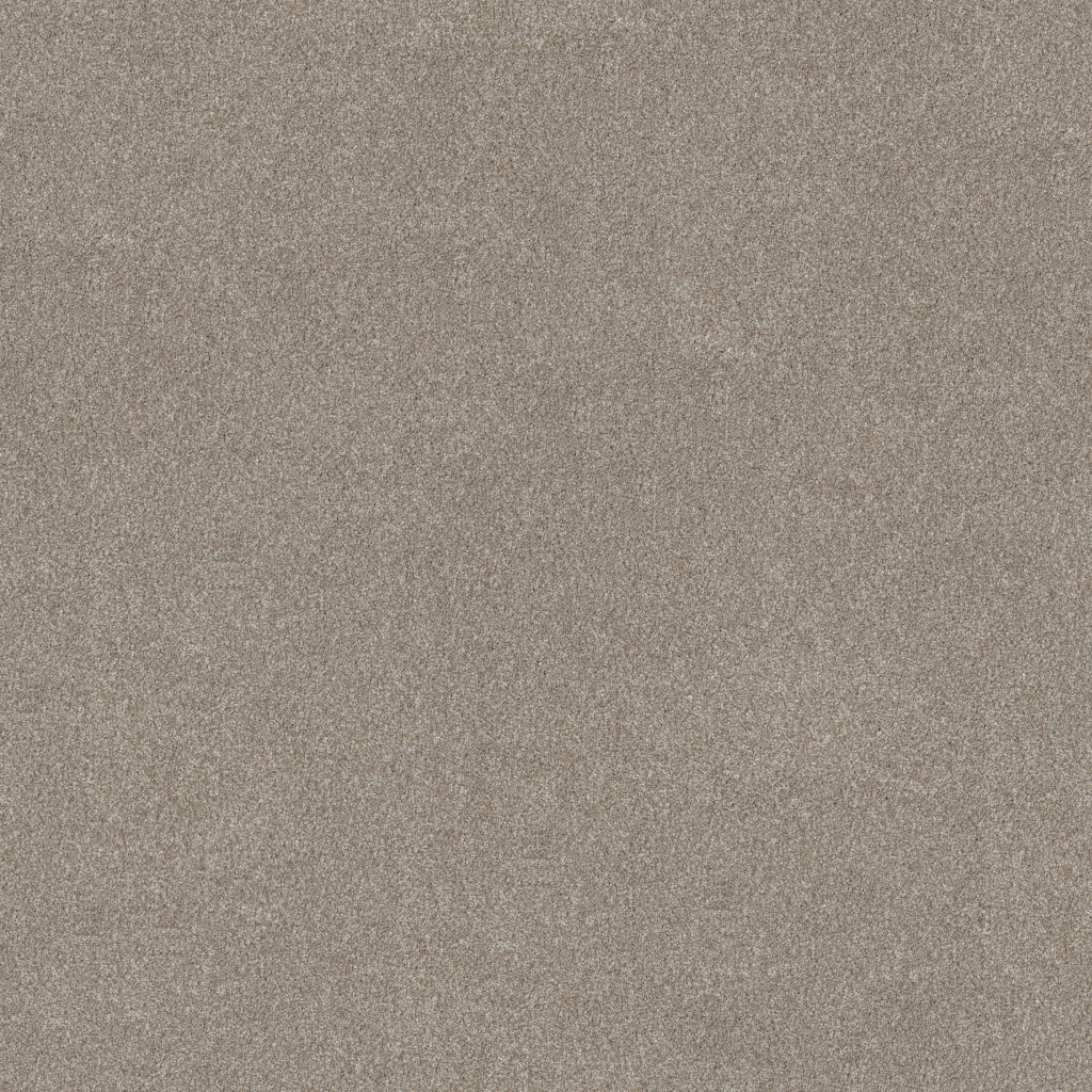 Shaw Floors Good Move III - Winter Dunes