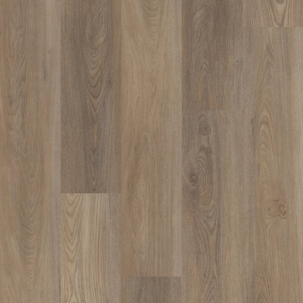 Shaw Floors DISTINCTION PLUS - Ash Oak