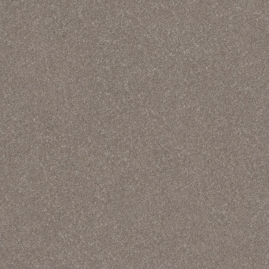 Shaw Floors Smooth Talk II - Anew Grey