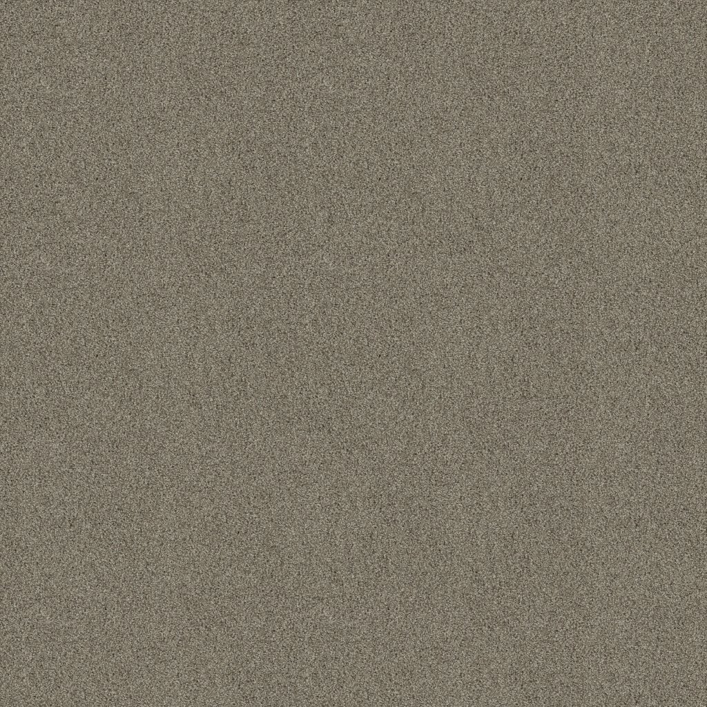 Shaw Floors Always Mine - Elusive