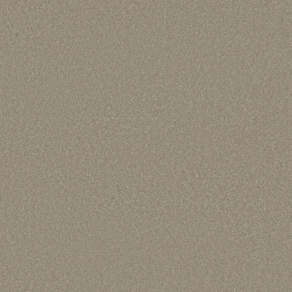 Shaw Floors Timeless Appeal III 12' - Silver Charm