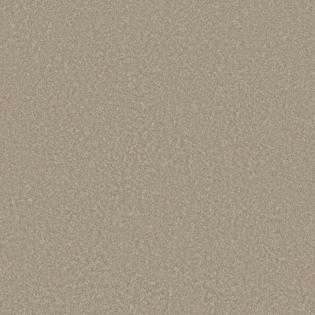 Shaw Floors Way To Go II - Desert Khaki