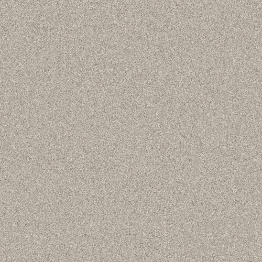 Shaw Floors Classic Tone - Gateway Grey
