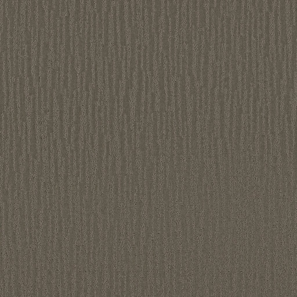 Shaw Floors Coral Canyon - Charcoal