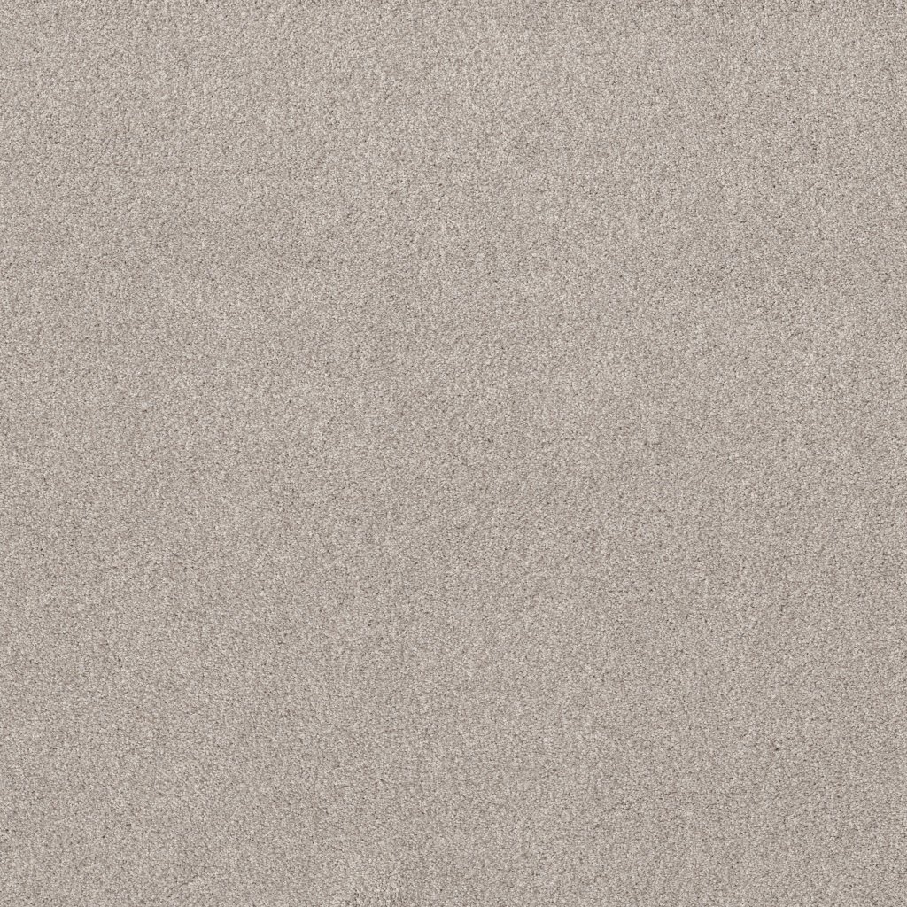 Shaw Floors Live On Comfort - Brushed Aluminu