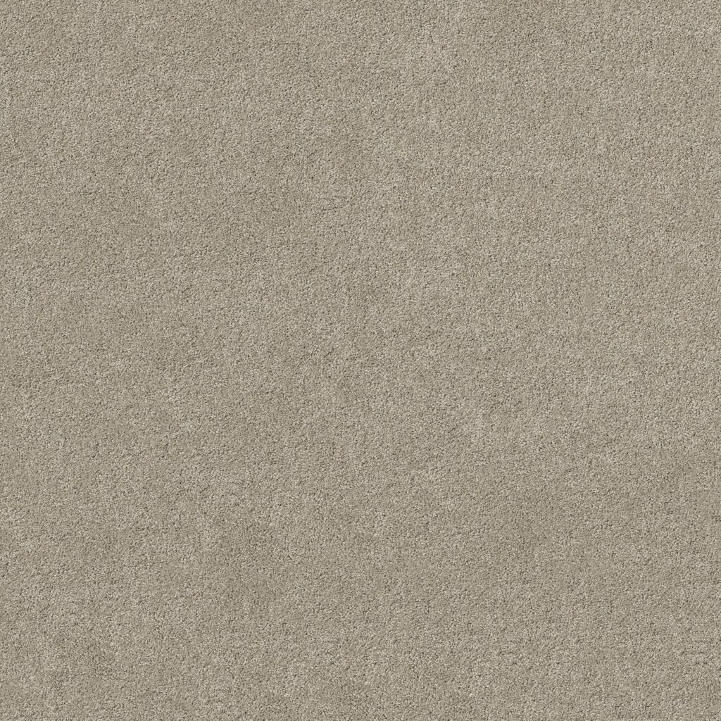 Shaw Floors Origins Ii - City Scape