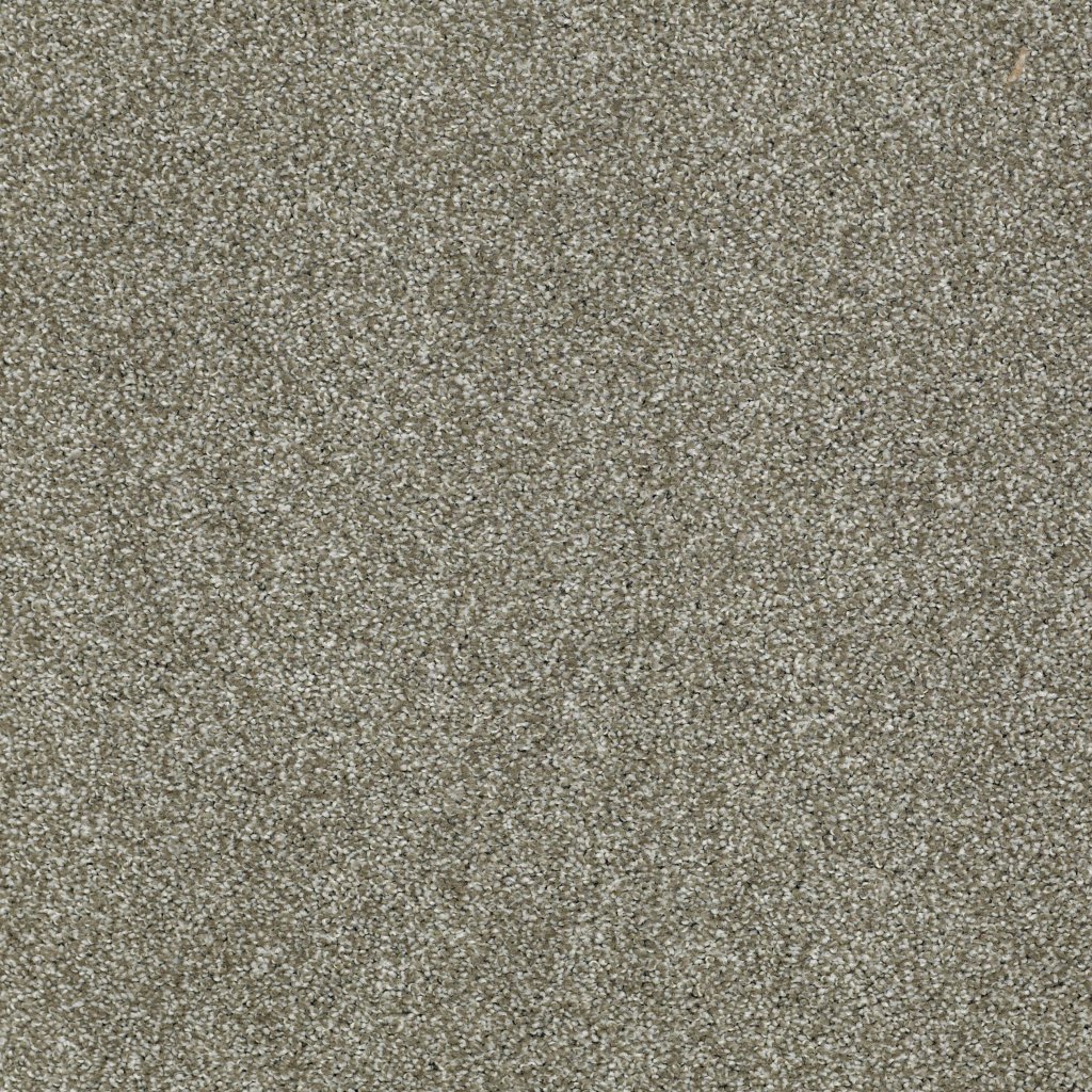 Shaw Floors Sun Drenched - Silver Sage