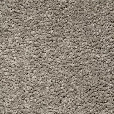 Mohawk Peaceful Elegance - Urban Putty