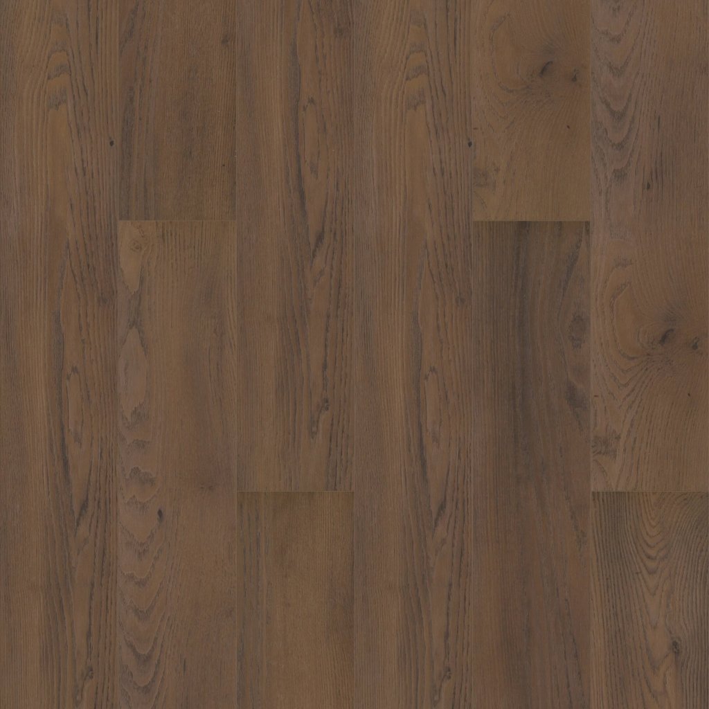 Shaw Floors Paragon HD Plus NB - Hawthorne