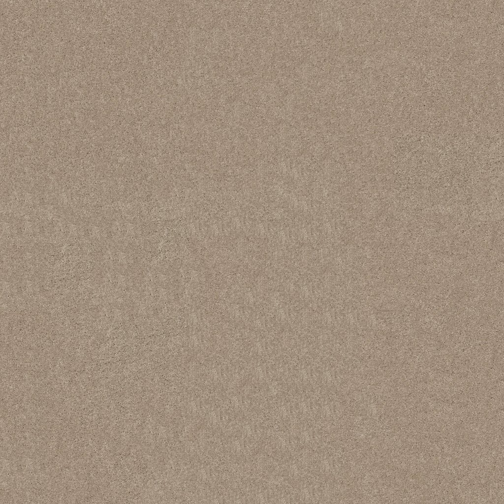 Shaw Floors THAT'S RIGHT - Doeskin