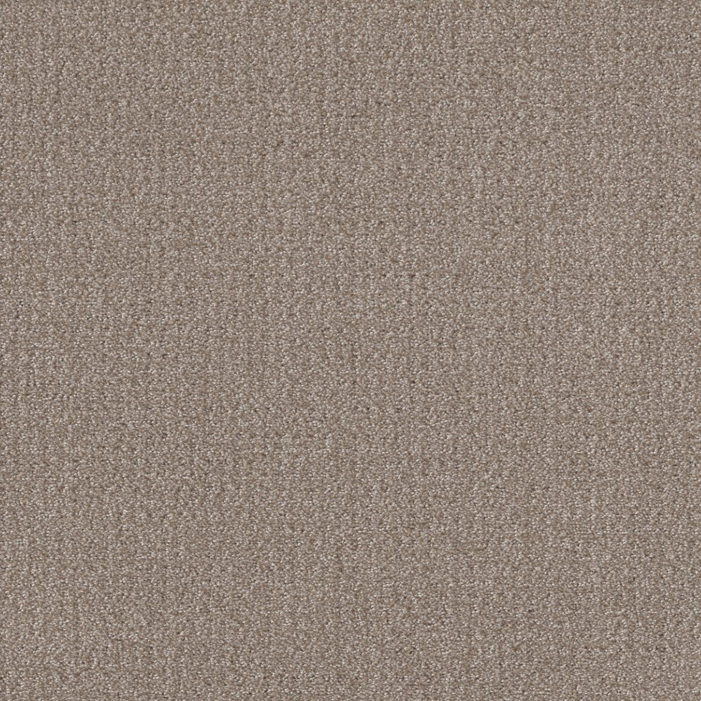 Shaw Floors Translate - Simply Tan