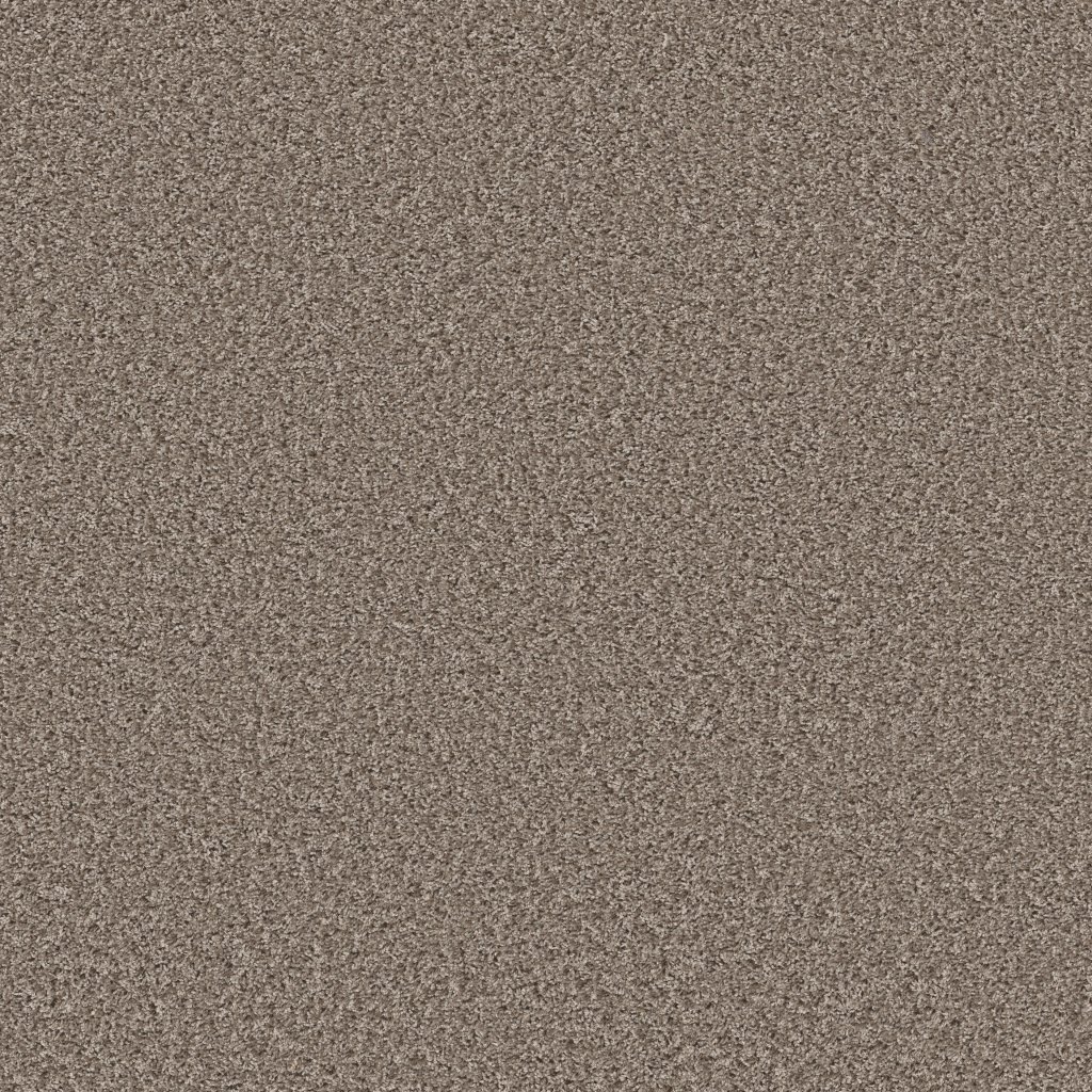 Shaw Floors Color Flair - Tempting Taupe