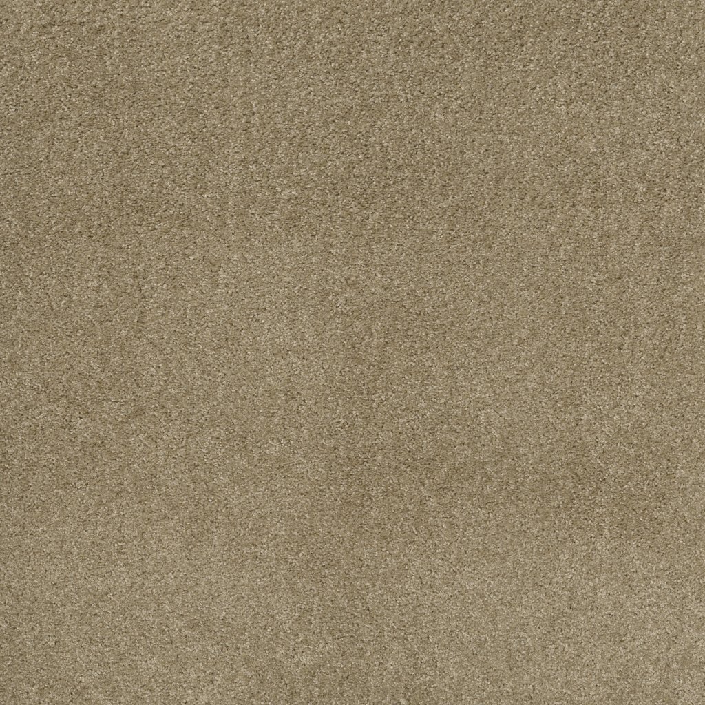 Shaw Floors Valiant - Mohair