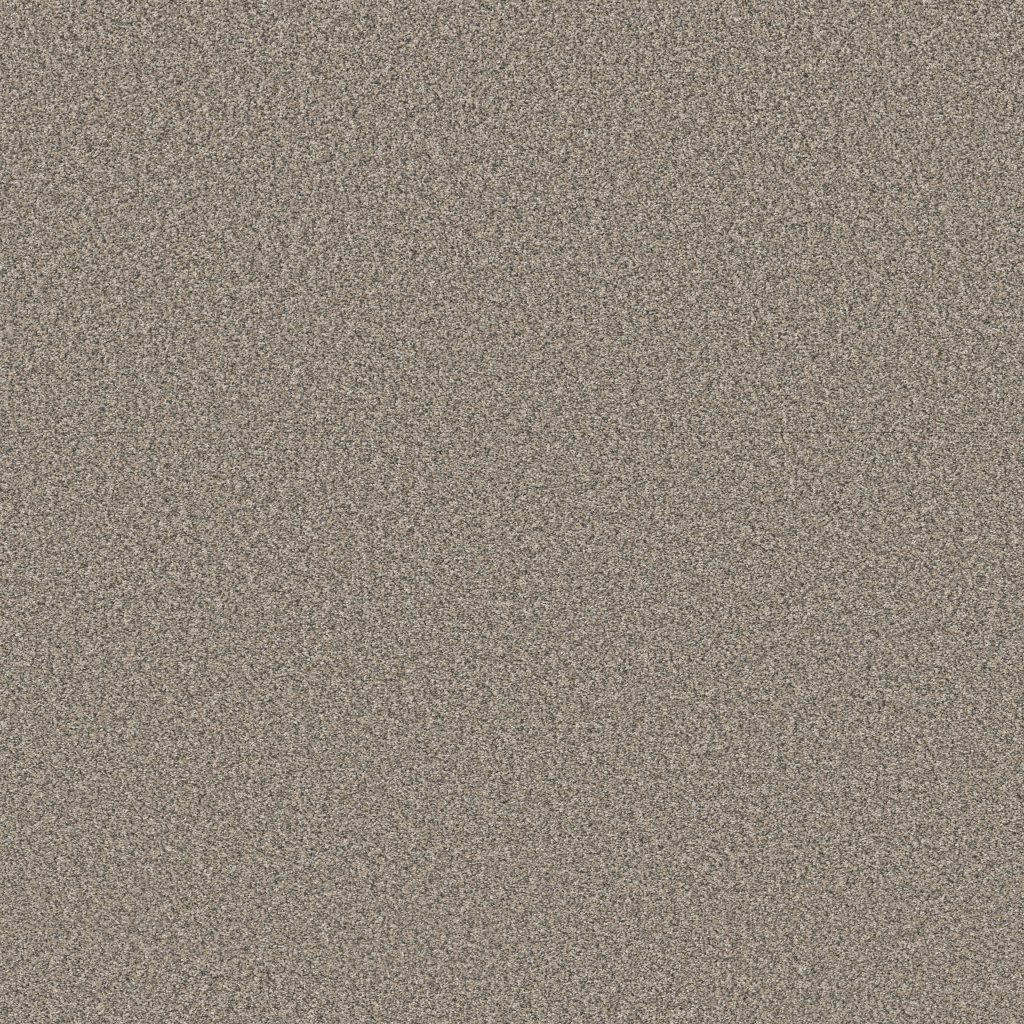 Shaw Floors Affirmation II - Bistro