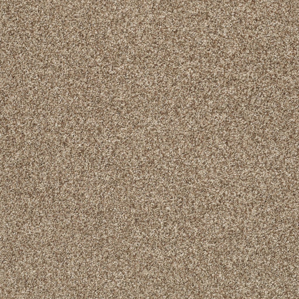 Shaw Floors Tonal Comfort II - Camping Trip