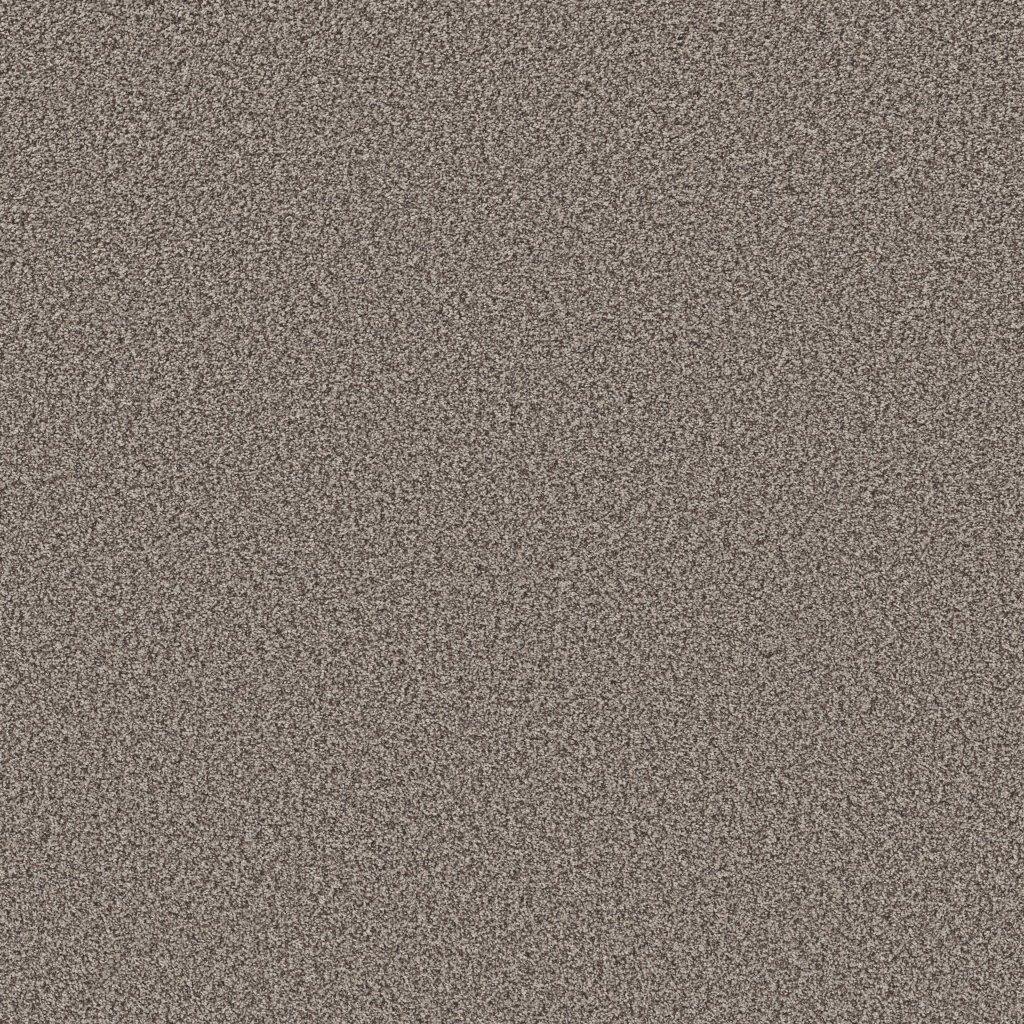 Shaw Floors Prescott Valley - Espresso