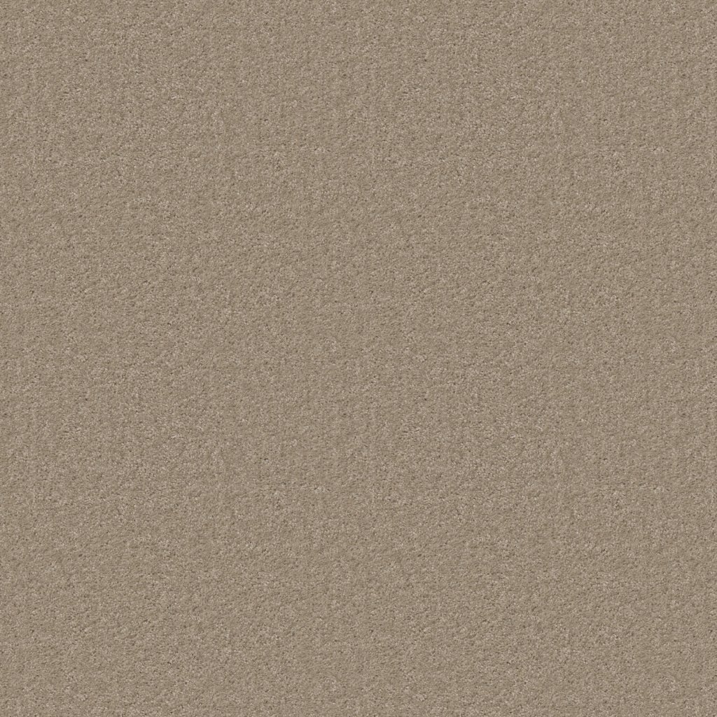 Shaw Floors Sprinter - Baja